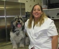 A woman in a white coat stands next to a large, gray dog on a counter in what appears to be a veterinary clinic or grooming facility.